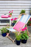 Blue and pink deckchair on deck with containers including Geraniums