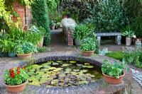 Summer garden, small brick circular pond with Nymphaea - The Corner House, Wiltshire. 