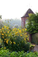 Penpergwm Lodge, Monmouthshire - Autumn. The old potager garden with Helianthus 'happy days', overlooked by brick built tower