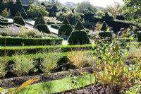 Formal garden with Yew topiary pyramids. Gillian Archer's garden, Perrycroft, Worcestershire, autumn. 
