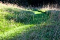 Mowed path through wildflower meadow, Perrycroft, Worcestershire, autumn. 