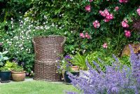 Wicker chair surrounded by Geranium sanguineum, Rosa 'American Pillar' and Nepeta - Catmint - Dunromin, Somerset 