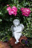 Cherub sitting under Rosa 'American Pillar' - Dunromin, Somerset 