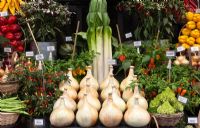 Vegetables on display at Malvern Autumn Show 2011