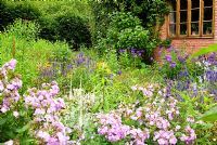 Pink Phlox paniculata 'Propsero', white Veronicastrum, blue Veronica spicata and Rudbeckia fulgida 'Goldsturm' mix in the stone garden around the house - Holbrook Garden, Tiverton, Devon, UK
