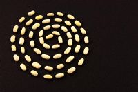 Seeds of climbing French Bean 'Blue Lake' laid out in a spiral pattern on black paper.
