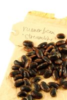 Seeds of Runner Bean 'Streamline' with paper bag and label 