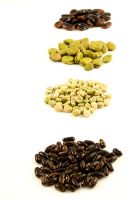 Small piles of bean and pea seeds including Dwarf French Bean 'Tenderbean', Pea 'Early Onward', Broad Bean 'Masterpiece' and Runner Bean 'Scarlet Emperor'.