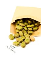 Seeds of Broad bean 'Masterpiece' falling out of a brown paper envelope with handwritten label.