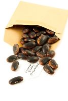 Seeds of Runner bean 'Streamline' falling out of a brown paper envelope with handwritten label.