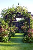 Rose covered wooden arbor in country garden