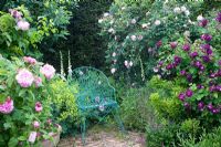 Seat in rose garden, Roses include 'Fantin Latour', 'Tuscany Superb' and 'Jacques Cartier' 