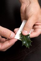 Man sticking holly leaf to card to make Christmas decoration