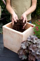 Planting Autumn Container with Heuchera