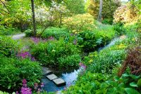 Stepping stones across stream surrounded by moisture loving plants including yellow Primula prolifera, pink Primula pulverulenta, ferns, Hostas and Hemerocallis - Daylilies with Azaleas, Rhododendrons and Palms above - Minterne, Minterne Magna, Dorset, UK 
