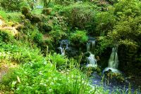 18th century cascades built to dam the stream Minterne, Minterne Magna, Dorset, UK