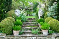 Stone steps colonised with Erigeron karvinskianus - wall daisy, and framed with fastigiate Yew, clipped Box, pots of Agapanthus and stone lions. Private garden, Dorset, UK