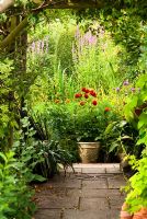 Wooden pergola swathed with golden hop and clematis frames a view to pots of pompon dahlias and a small pond