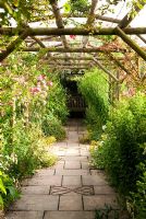 Wooden pergola swathed with golden hop and clematis