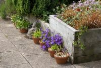 Raised flower bed on flagged patio with arrangement of pots
