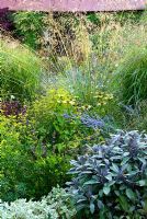 Summer border with a mix of grasses and perennials 