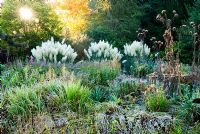 Herbaceous and grasses garden features large clumps of Cortaderia - Pampas grass, Phormiums, grasses such as Miscanthus and herbaceous plants including Dahlias, Asters and Salvia uliginosa - Exbury Gardens, Exbury, Hants, UK