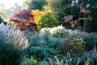 Herbaceous and grasses garden features large clumps of Cortaderia - Pampas grass, Phormiums, grasses such as Miscanthus and herbaceous plants including Dahlias, Asters and Salvia uliginosa - Exbury Gardens, Exbury, Hants, UK

