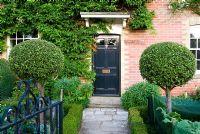 Victorian brick frontage on C18 house, with black door framed by standard Pittosporums and formal beds edged with low Buxus - Box hedging - Isle of Wight, UK