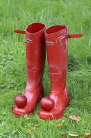 Red wellington boots with windfall Malus 'Harry Baker' Apples on the toes in October