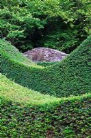 View to the Ruin from within the Hedge garden with clipped Taxus - Yew hedges - Veddw House Garden, August.