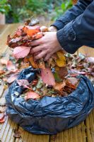 Collecting leaves in rubbish bag