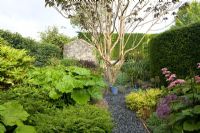 Country garden with mixed summer borders and tree 