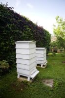 White wooden beehives