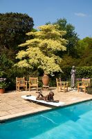 Thee poolside terrace, Pashley Manor gardens