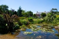 Large pond in country garden 