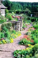 Terrace with Hosta, Geranium, Dianthus - Sweet William, Digitalis - Foxgloves, Alchemilla mollis, Centranthus - Valerian - High Glanau Manor, Monmouthshire, Wales 
