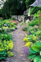 Lower Terrace - Hosta, Geranium, Dianthus - Sweet William, Digitalis - Foxgloves, Alchemilla mollis, Centranthus - Valerian - High Glanau Manor, Monmouthshire, Wales 
