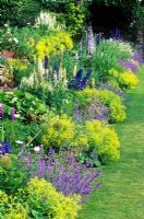 Section of double herbaceous borders - Nepeta 'Six Hills Giant', Alchemilla mollis, Astrantia major, Delphinium, Lupinus 'Russell Hybrids', Aconitum, Hostas  - High Glanau Manor, Monmouthshire, Wales 