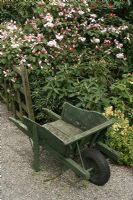 Old wooden wheelbarrow on a gravel path with rhododendrons behind