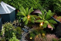 Contemporary suburban garden with seating areas and lighting surrounded by Dicksonia antarctica and Polystichum setiferum 