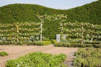 Kitchen garden surrounded by espalier Apple trees -  Blakenham garden