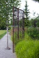 Rusted metal sculpture with Betula - Birch and grasses in modern garden
 