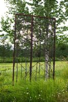 Rusted metal sculpture with Betula - Birch and grasses in modern garden 
