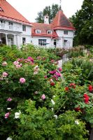 Contemporary rose garden at Wij Gardens Sweden 
