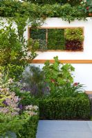 Buxus - Box hedges beside a path with herbs, fruit and salad leaves  - 'The Potential Feast' garden - RHS Hampton Court Flower Show 2011
 