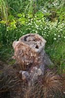 Planting of wild flowers and grasses beside a tree stump 