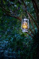 Garden lighting - storm lantern hanging in a tree