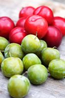 Greengages 'Reine Claude' and plums 'Laetitia'