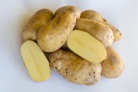 Solanum tuberosum Gourmandine - potatoes 