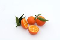 Kucle - Kumquat 
